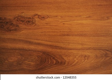 Italian Elm Wood Texture