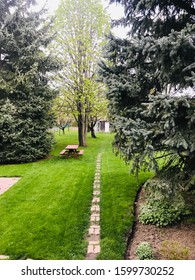 Italian Grandparent's Green Backyard Oasis