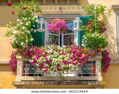 Italian house window balcony garden box decorated with mix of many plants and flowers in colored pots summer Lucca Italy