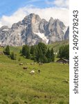  italian mountains with cows in Trentino Alto Adige