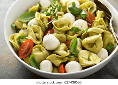 Italian Pasta Salad With Spinach Ricotta Tortellini, Mozzarella, Tomatoes And Basil