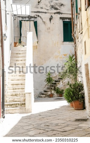 Similar – Image, Stock Photo Gallipoli, Apulia