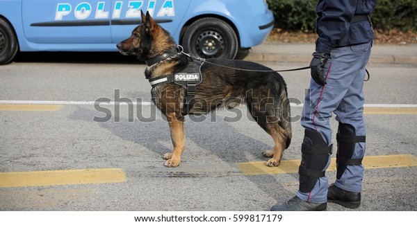 Italian police dog
while patrolling the city streets before the football game to
prevent terrorist
attacks