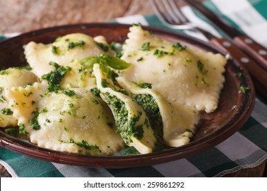 Italian ravioli with spinach and cheese close-up on a brown plate. horizontal, rustic style
 - Powered by Shutterstock