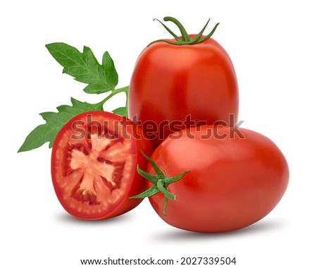 Italian, San Marzano, Plum or Roma Tomatoes with green leaf isolated on white background  including clipping path