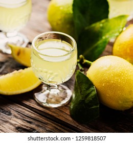 Italian Typical Digestive Limoncello With Fresh Lemons, Selective Focus And Square Image