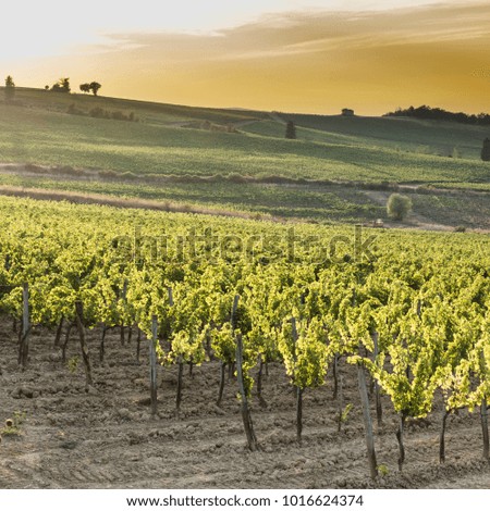 Similar – Image, Stock Photo Tuscany is the most beautiful place in Europe and most visited by tourists. The landscape has the most wonderful shape of the area.