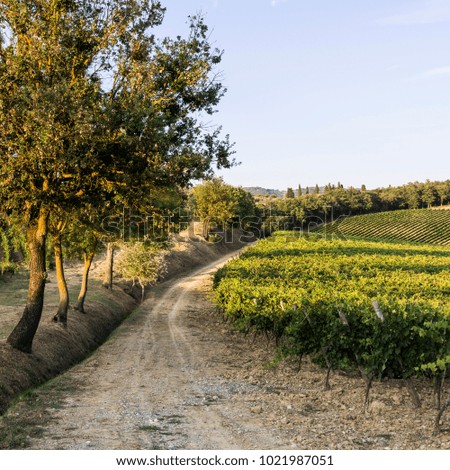 Similar – Image, Stock Photo Tuscany is the most beautiful place in Europe and most visited by tourists. The landscape has the most wonderful shape of the area.