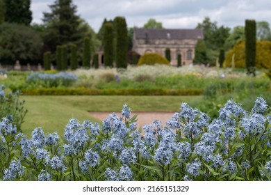 Italianate Garden on the Trentham Estate, Stoke-on-Trent, UK. The modern planting scheme is naturalistic, with variety of colourful, perennial, drought resistant plants. Camassia flowers in foreground