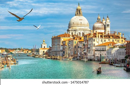 Schönheit Italiens, Kathedrale Santa Maria della Salute und Gondel auf dem Canale Grande in Venedig, Seegras, Venezia