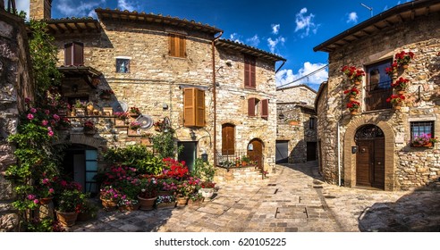 Italy Beauty, Typical Tuscany Flowers Street, Tuscany , Toscana