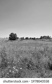 Italy, Lazio, Rome Province, View Of The Countryside 