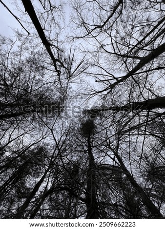 Similar – Image, Stock Photo Piedmont 2024 Landscape