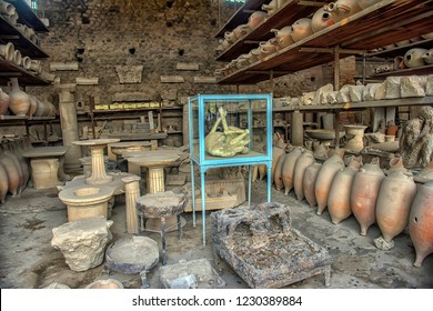 Italy, Pompeii 03,01,2018  A Body Of Dead Dog In Pompeii, Italy