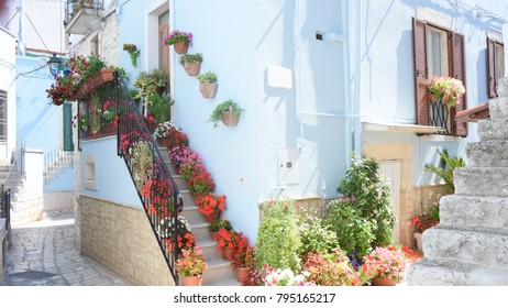 Italy, Puglia region, Casamassima, small street in the historic center with typical stairs with many flowers, leading to homes. - Shutterstock ID 795165217