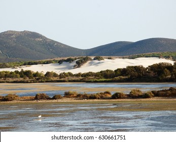 Italy, Sardinia, Carbonia Iglesias, Porto Pino, the pond behind the white sand dunes