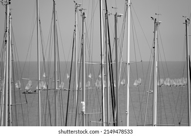 Italy, Siciliy, Mediterranean sea, Marina di Ragusa; sailing boat  masts in the marina and ‎sailing dinghies race 