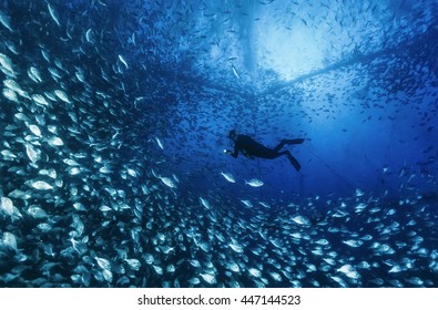 Italy, Sicily, Mediterranean sea, Ponza Island, aquaculture nets off the coast of the island - FILM SCAN