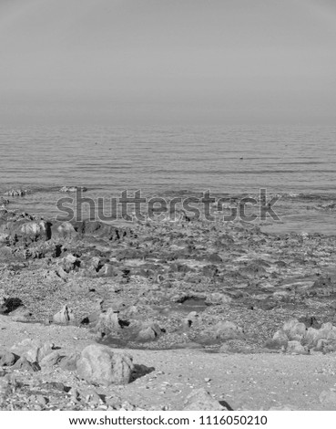 Image, Stock Photo Thousand Watts Ocean