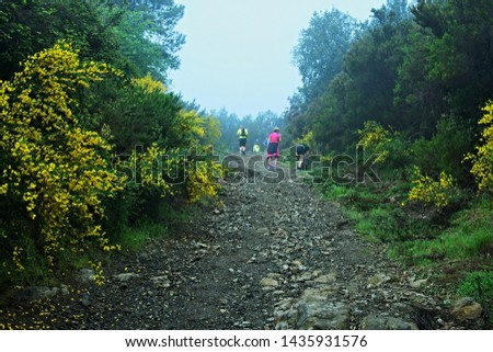 Similar – Image, Stock Photo View from Monte Capanne to Elba (Marciana Marina / Marciana Alta), clouds and the Mediterranean Sea