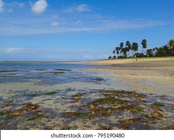 Itaparica Island, Bahia, Brazil