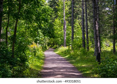 124 Itasca state park Images, Stock Photos & Vectors | Shutterstock