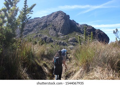 Parque Nacional Do Itatiaia High Res Stock Images Shutterstock