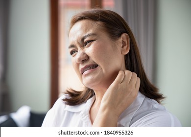 985 Ringworm problem Images, Stock Photos & Vectors | Shutterstock