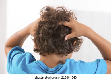 Itchy Scalp Head Lice Stock Photo 213894343 | Shutterstock