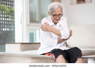 Itchy senior woman scratching arms with her hands,rash on body,pruritus,severe itching of the skin from food allergies,symptoms of hives,urticaria disease,patient allergic reaction,atopic dermatitis