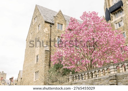 Ithaca, New York, Spring, Cornell University 