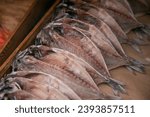 Ito, Japan; 1st October 2023: Fish at a Dried Fish shop in Ito City, Shizuoka, Japan.