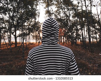 
itself in the middle of the forest
