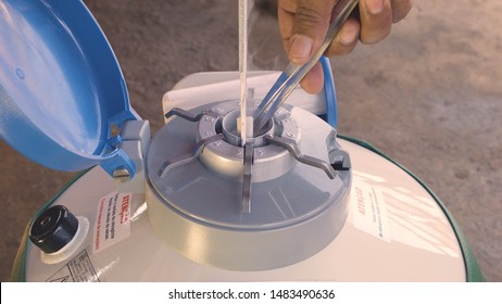 Itu BRAZIL 08 April 2017: Vet Handling Artificial Cattle Insemination Canister On A Farm At Dusk