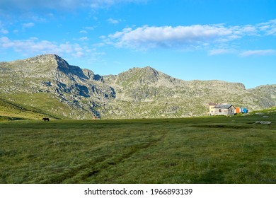 Ivan Vazov Mountain hut in Rila, Bulgaria, with one horse and mountain ridge in the background