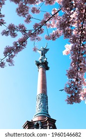 Ivar Huitfeldt Column with Blooming Cherry Blossoms in Copenhagen