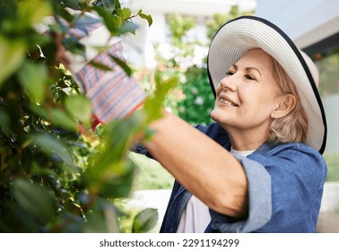 Ive got green fingers. a senior woman gardening in the backyard at home. - Powered by Shutterstock