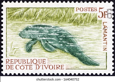 IVORY COAST - CIRCA 1963: A stamp printed in Ivory Coast shows an African manatee (Trichechus senegalensis), circa 1963. 