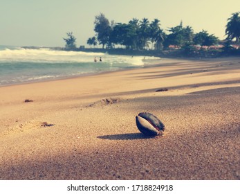 Ivory Coast Summer Beach Chill