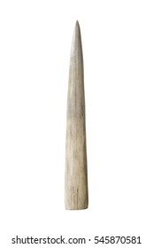 Ivory Tusk On White Background