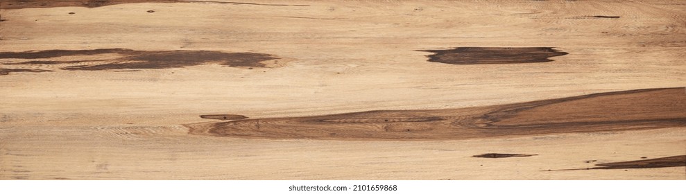 ivory wood texture background surface with old natural pattern_5