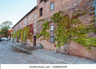 Ivy colored in fall colors covering red brick wall of Christian's Brewhouse