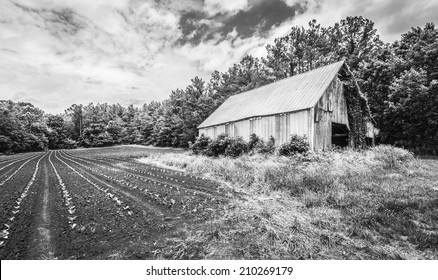 Tobacco Barn Images Stock Photos Vectors Shutterstock