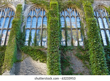 Ivy Covered College Building With Gothic Style Windows