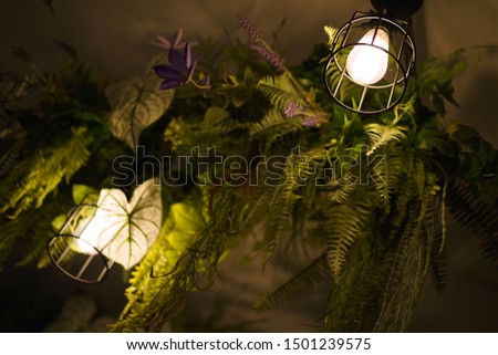 Ivy Green Flower Garden with Light Bulbs Hanging on The Ceiling. Home Decorate Interior Green Garden.