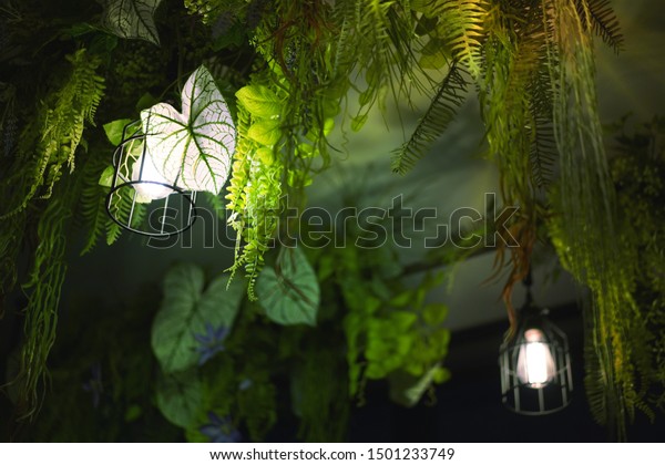 Ivy Green Garden with Light Bulbs Hanging on The Ceiling. Home Decorate Interior Green Garden.