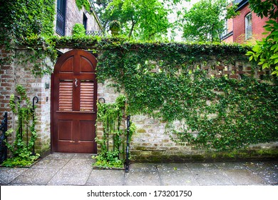 Ivy Grows On The Ivy Wall Of A Home In Savannah, Georgia's Historic District.