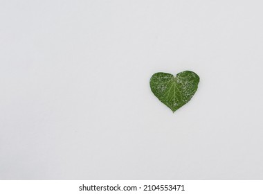Ivy heart shaped leaf against snowy background.  Minimal nature concept. Valentine's day greeting card. Love symbol.  - Shutterstock ID 2104553471