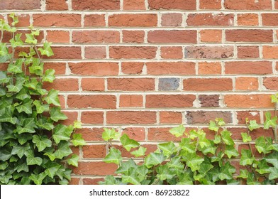 Ivy On Brick Wall