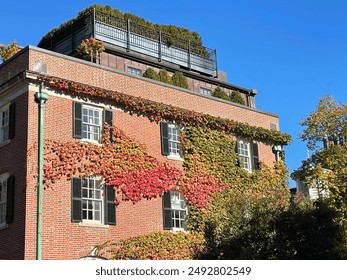 Ivy on a historic building in Boston begins to turn red on a sunny autumn day - Powered by Shutterstock